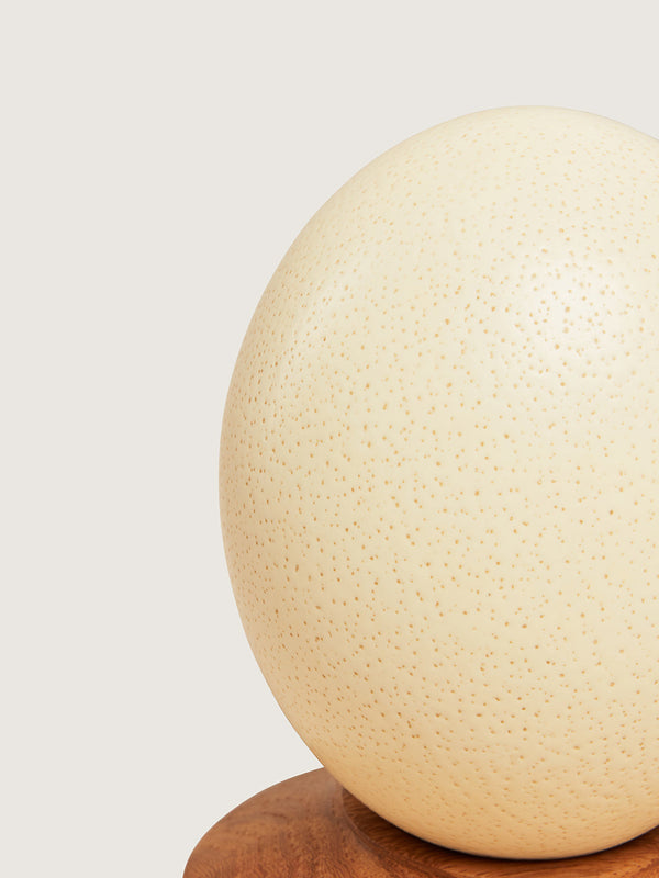 Plain Egg