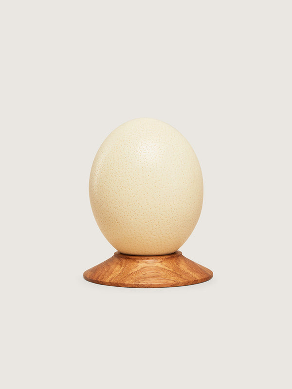Plain Egg