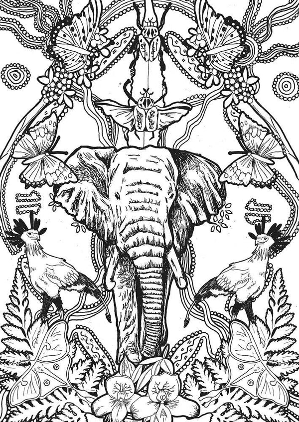 Color at home Illustration - Elephant