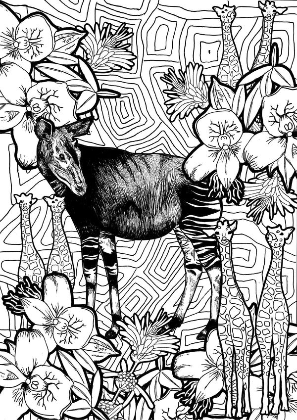 Color at home Illustration - Okapi